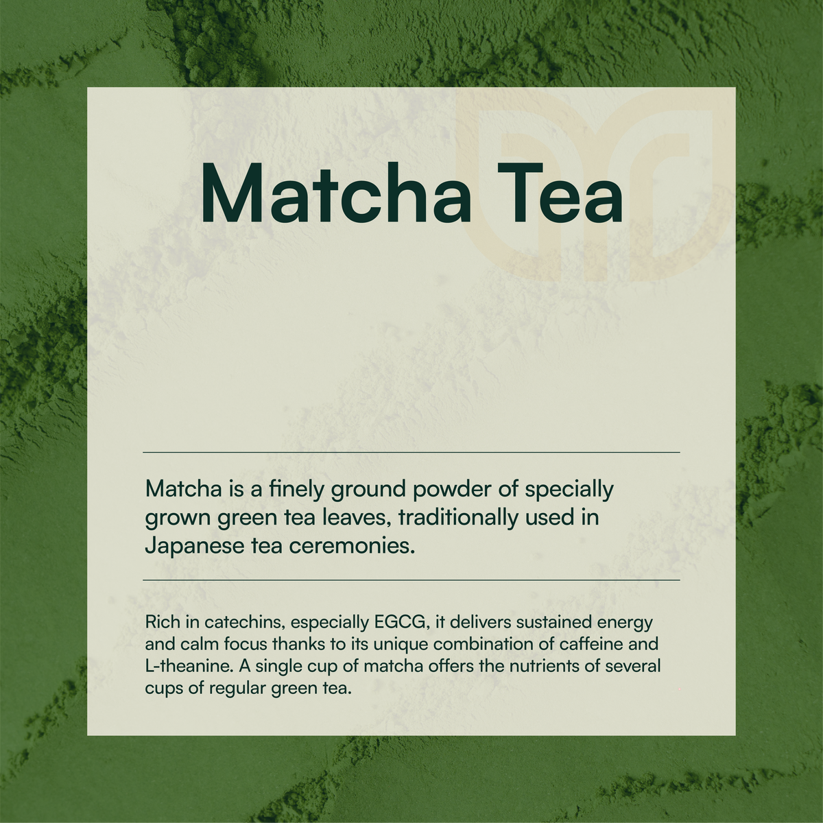 MASH. Pure Organic Matcha Tea | Keto & Vegan Friendly