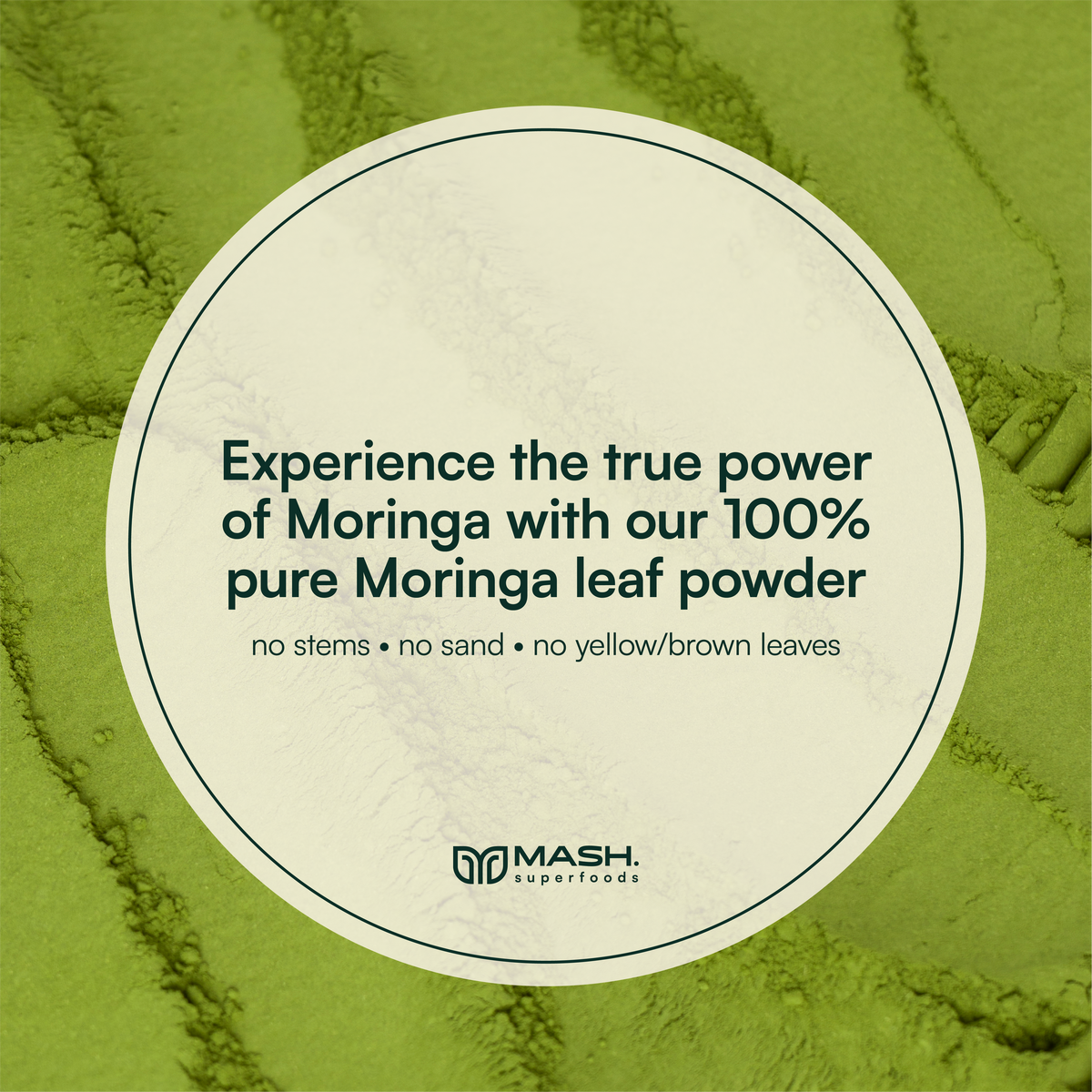 MASH. Poudre de feuilles de moringa premium | Superaliment pur et puissant