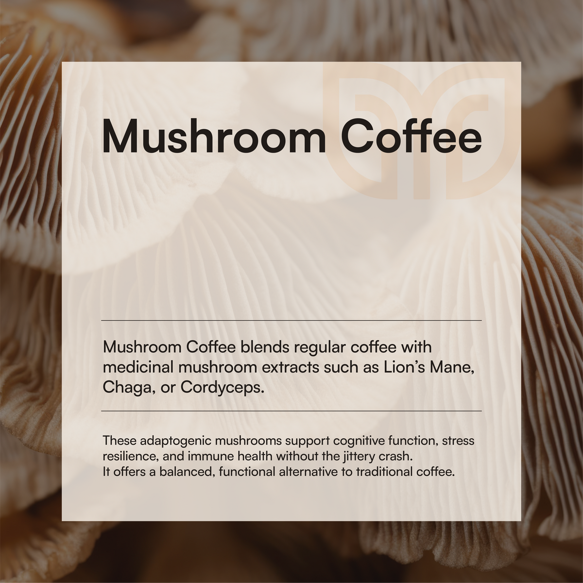 Purée de café aux champignons | Énergie et concentration naturelles sans caféine